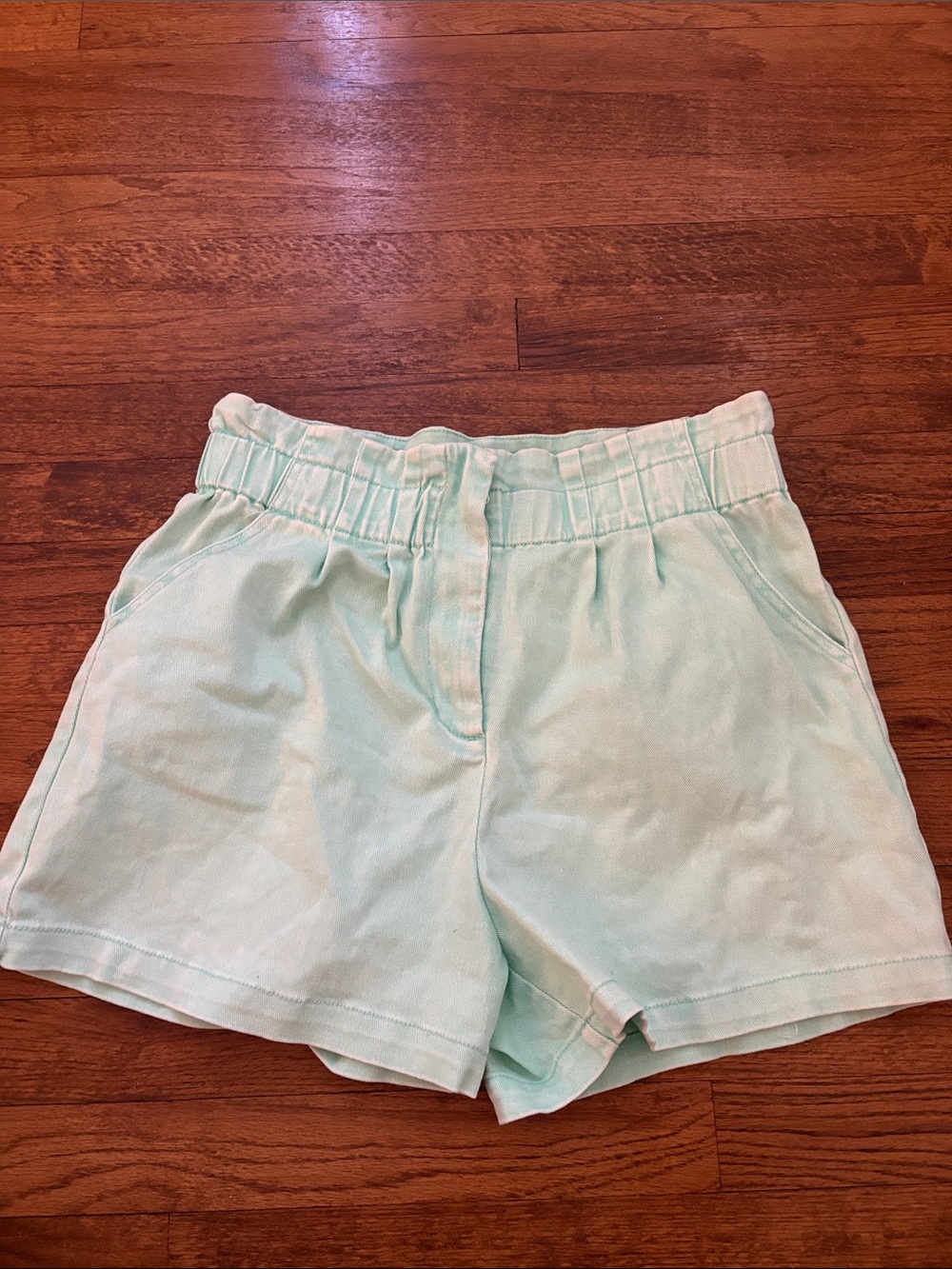Skies Are Blue High-Waist Elastic Paperbag Shorts in Mint